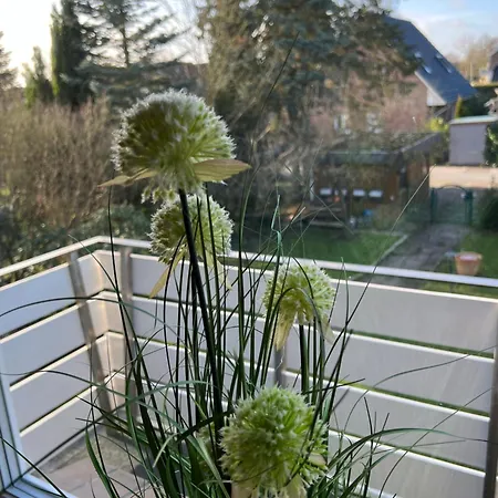 Ruhige, Stadtnahe Im Hamburger Westen